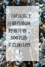 延庆东王庄健身跑越野赛开赛，300名选手竞逐山野