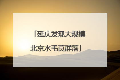 延庆发现大规模北京水毛茛群落