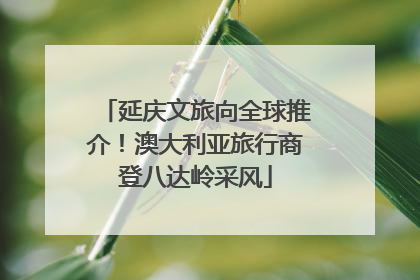延庆文旅向全球推介！澳大利亚旅行商登八达岭采风