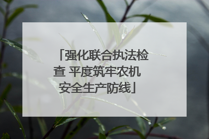 强化联合执法检查 平度筑牢农机安全生产防线