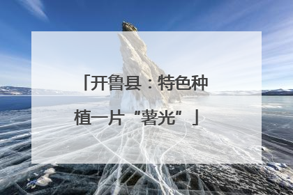 开鲁县：特色种植一片“薯光”