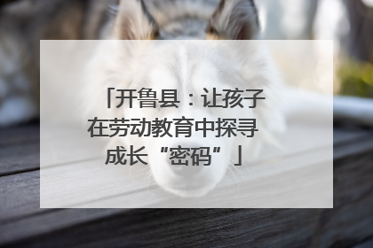 开鲁县：让孩子在劳动教育中探寻成长“密码”