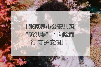 张家界市公安共筑“防洪堤”：向险而行 守护安澜