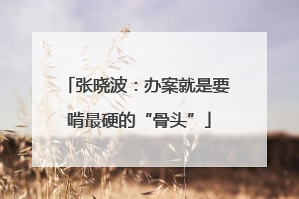 张晓波：办案就是要啃最硬的“骨头”