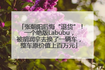 张朝阳后悔“退货”！一个绝版Labubu，被胡润拿去换了一辆车，整车原价值上百万元