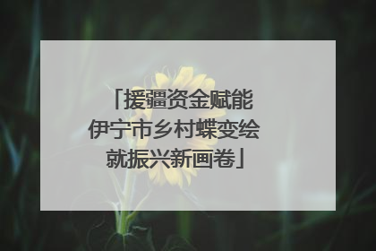 援疆资金赋能 伊宁市乡村蝶变绘就振兴新画卷