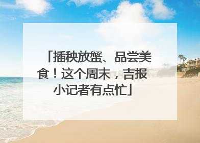 插秧放蟹、品尝美食！这个周末，吉报小记者有点忙