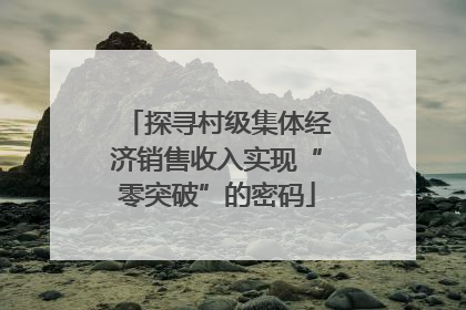 探寻村级集体经济销售收入实现“零突破”的密码