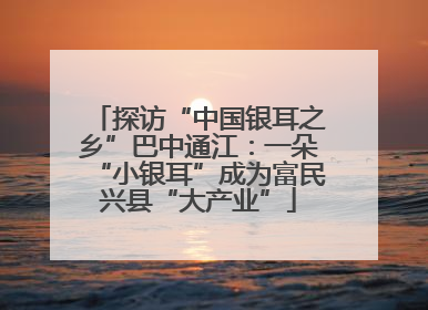 探访“中国银耳之乡”巴中通江：一朵“小银耳”成为富民兴县“大产业”