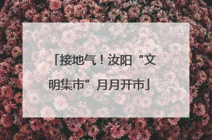 接地气！汝阳“文明集市”月月开市