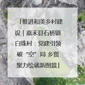 推进和美乡村建设｜嘉禾县石桥镇白珠村：党建引领破“空”局 乡贤聚力绘就新图景