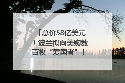 总价58亿美元！波兰拟向美购数百枚“爱国者”