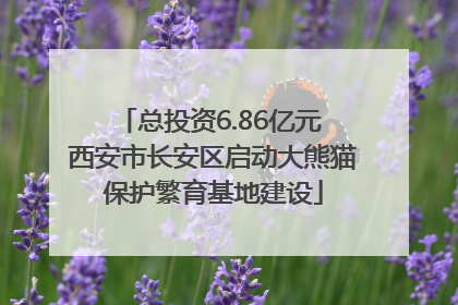 总投资6.86亿元 西安市长安区启动大熊猫保护繁育基地建设