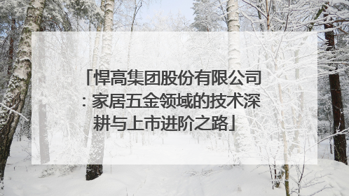 悍高集团股份有限公司：家居五金领域的技术深耕与上市进阶之路