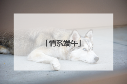 情系端午