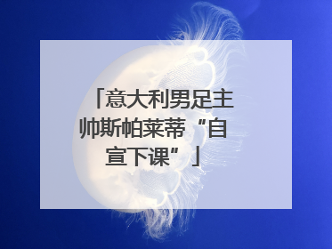 意大利男足主帅斯帕莱蒂“自宣下课”