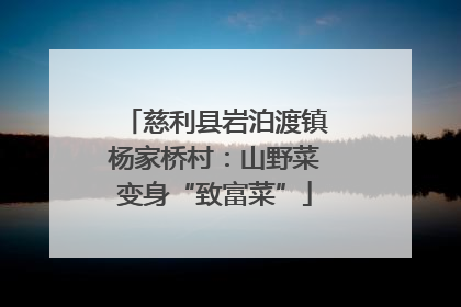 慈利县岩泊渡镇杨家桥村：山野菜变身“致富菜”
