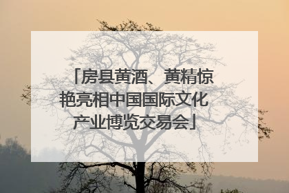 房县黄酒、黄精惊艳亮相中国国际文化产业博览交易会