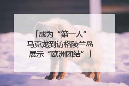 成为“第一人” 马克龙到访格陵兰岛展示“欧洲团结”