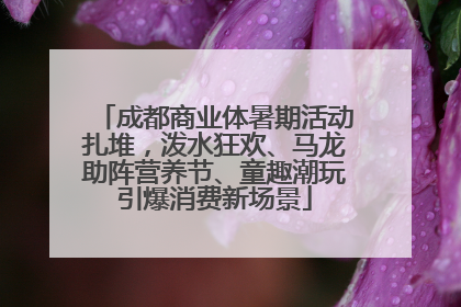 成都商业体暑期活动扎堆，泼水狂欢、马龙助阵营养节、童趣潮玩引爆消费新场景