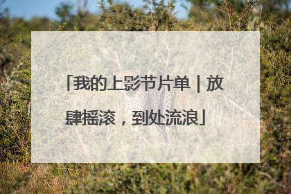 我的上影节片单｜放肆摇滚，到处流浪