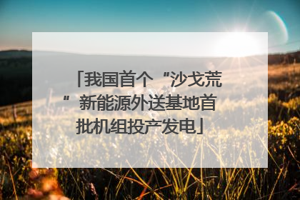 我国首个“沙戈荒”新能源外送基地首批机组投产发电