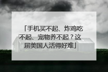 手机买不起、炸鸡吃不起、宠物养不起？这届美国人活得好难