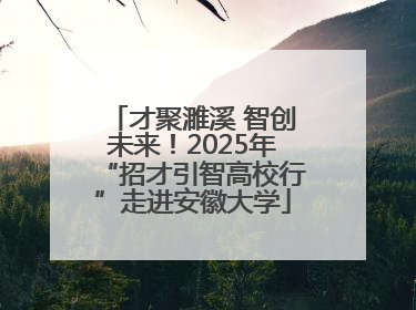 才聚濉溪 智创未来！2025年“招才引智高校行”走进安徽大学