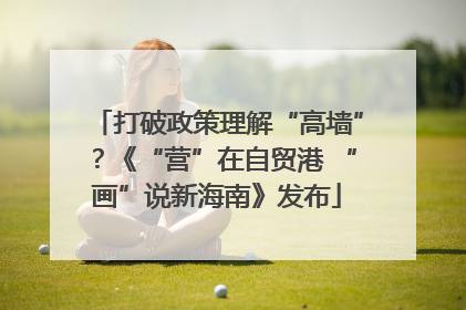 打破政策理解“高墙”？《“营”在自贸港 “画”说新海南》发布