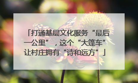 打通基层文化服务“最后一公里”，这个“大篷车”让村庄拥有“诗和远方”