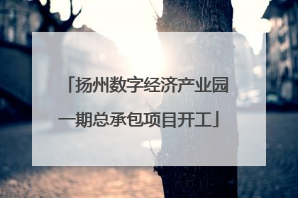 扬州数字经济产业园一期总承包项目开工