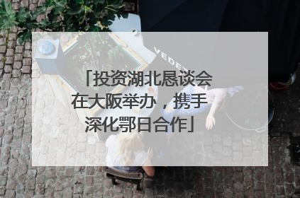 投资湖北恳谈会在大阪举办，携手深化鄂日合作