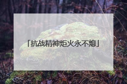 抗战精神炬火永不熄