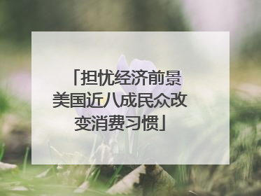担忧经济前景 美国近八成民众改变消费习惯