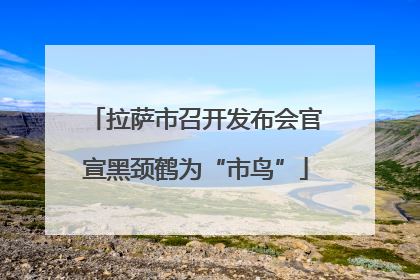 拉萨市召开发布会官宣黑颈鹤为“市鸟”