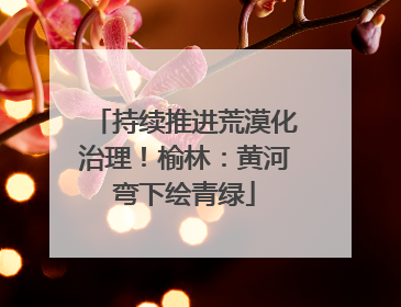 持续推进荒漠化治理！榆林：黄河弯下绘青绿