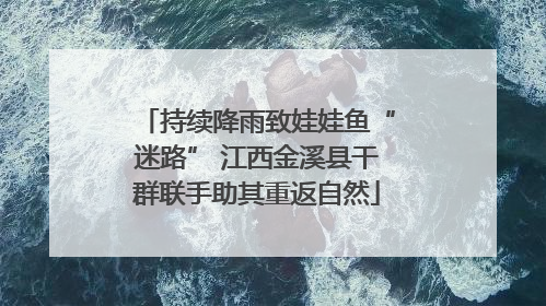 持续降雨致娃娃鱼“迷路” 江西金溪县干群联手助其重返自然