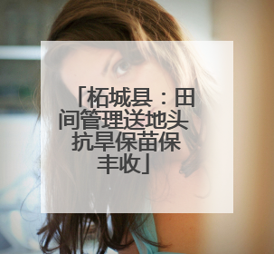 柘城县：田间管理送地头 抗旱保苗保丰收