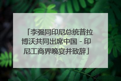 李强同印尼总统普拉博沃共同出席中国－印尼工商界晚宴并致辞
