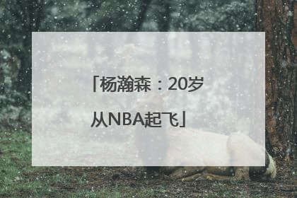 杨瀚森：20岁从NBA起飞