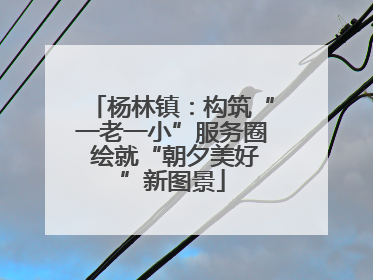 杨林镇：构筑“一老一小”服务圈 绘就“朝夕美好”新图景