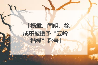 杨斌、闻明、徐成东被授予“云岭楷模”称号