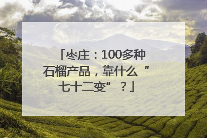 枣庄：100多种石榴产品，靠什么“七十二变”？