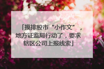 摸排股市“小作文”，地方证监局行动了，要求辖区公司上报线索