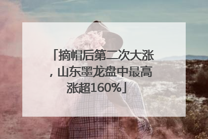 摘帽后第二次大涨，山东墨龙盘中最高涨超160%