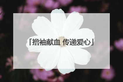 撸袖献血 传递爱心