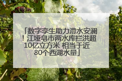 数字孪生助力澧水安澜！江垭皂市两水库拦洪超10亿立方米 相当于近80个西湖水量