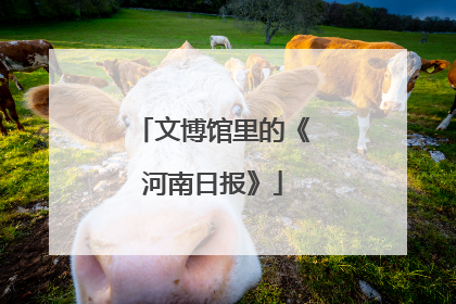 文博馆里的《河南日报》