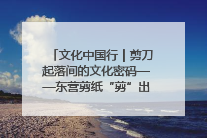 文化中国行｜剪刀起落间的文化密码——东营剪纸“剪”出非遗传承与现代生活的融合之道