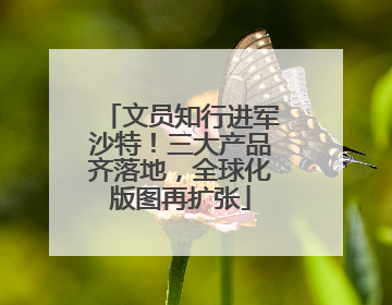 文员知行进军沙特！三大产品齐落地，全球化版图再扩张